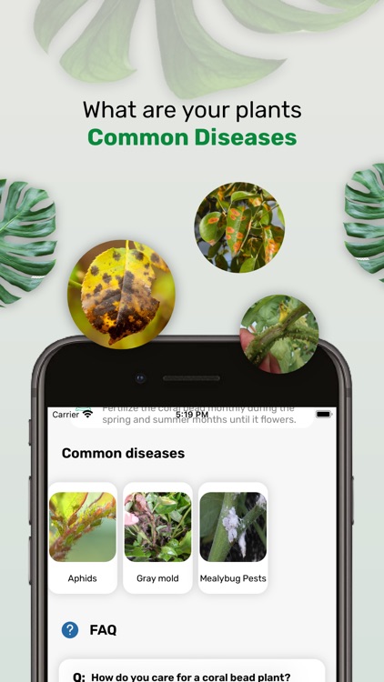 Plantinapp : Plant Identifier screenshot-7