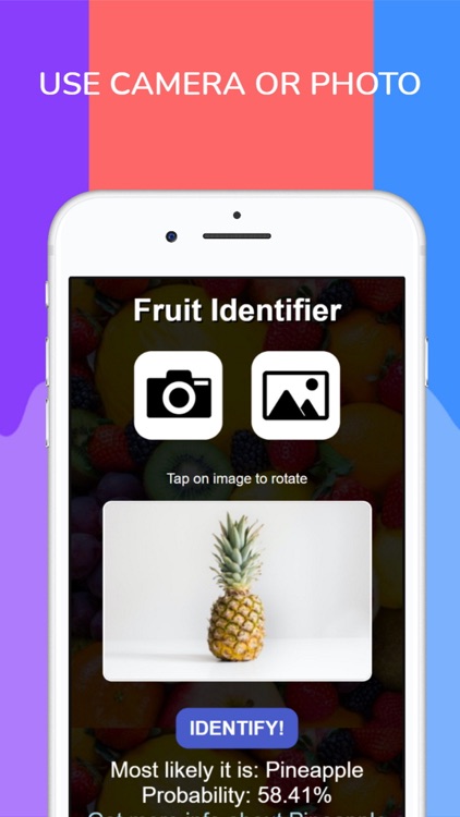 Fruit Identifier by photo