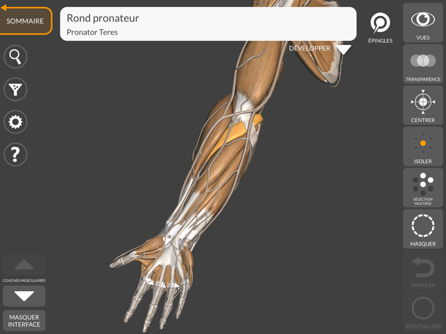 ‎Anatomie 3D pour l'Artiste 2 Capture d'écran