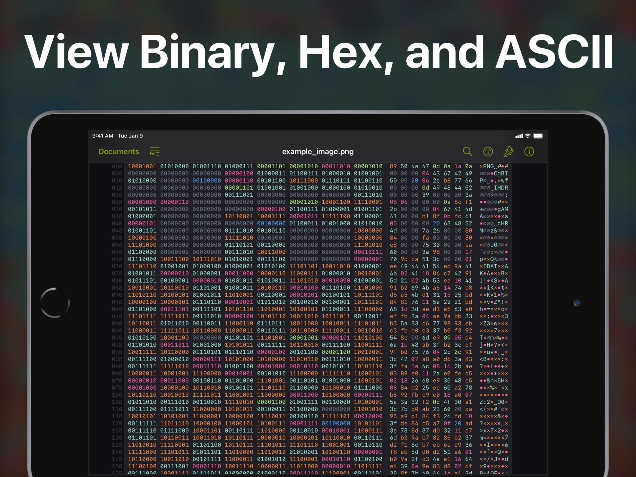 Hexer — Hex File Viewer screenshot 3