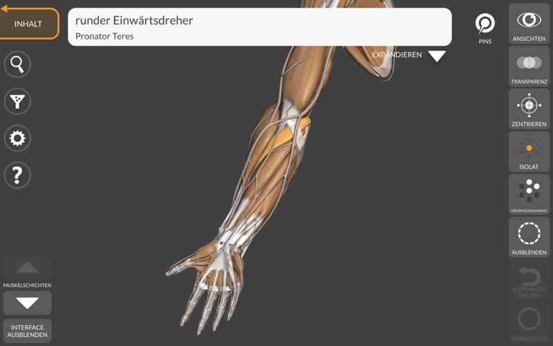 3D-Anatomie für Künstler 2022