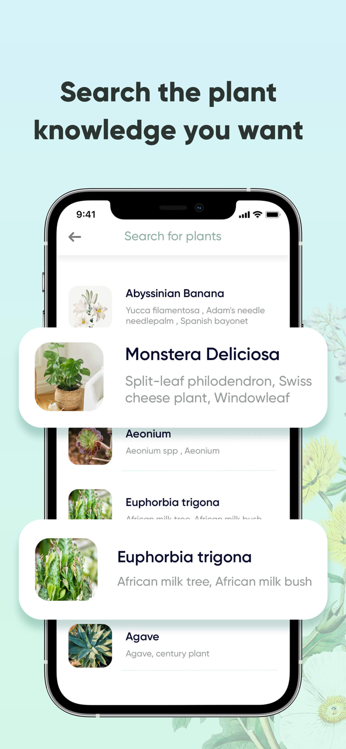 PLANTit - Plant Identifier