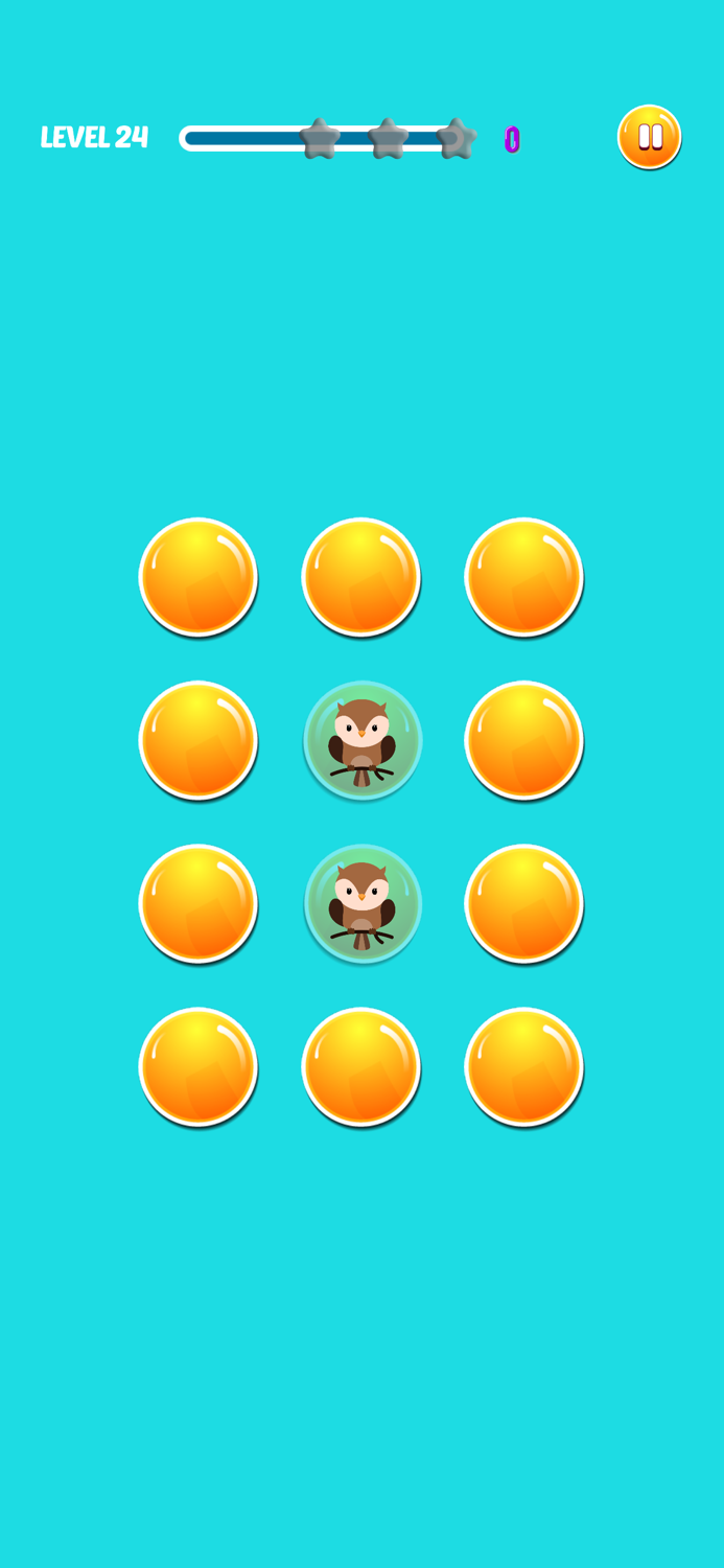 Animal Couple Puzzle