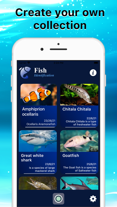 FishIdentifier