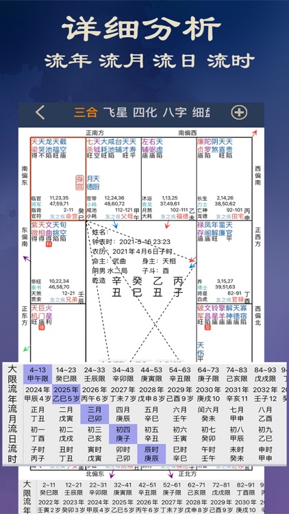 紫微斗数大师版