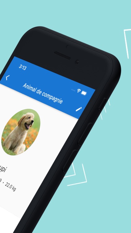 Amiko - Dog walk tracker screenshot-4