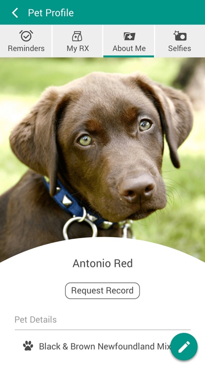 Claws & Paws Vet Hospital