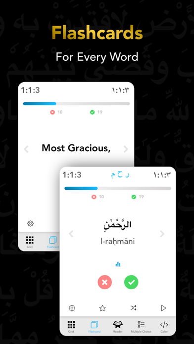 Quran Study Learn Word by Word screenshot 3