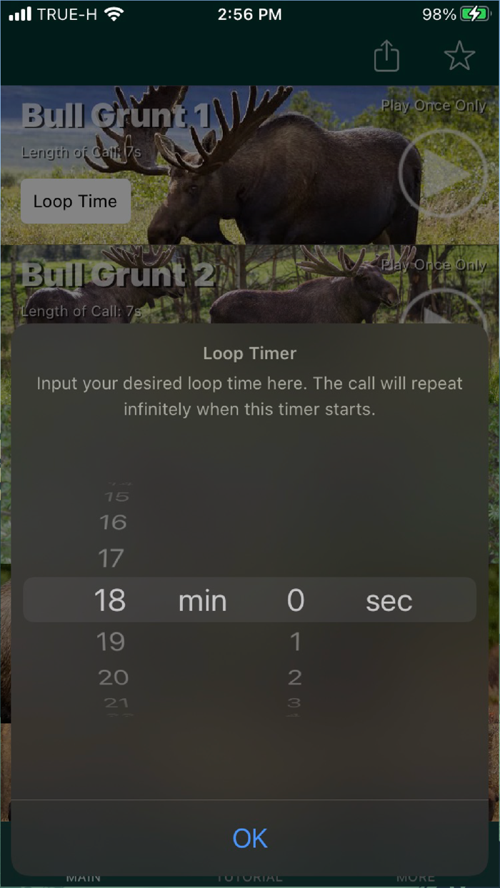 Moose Calls for Bull Hunter