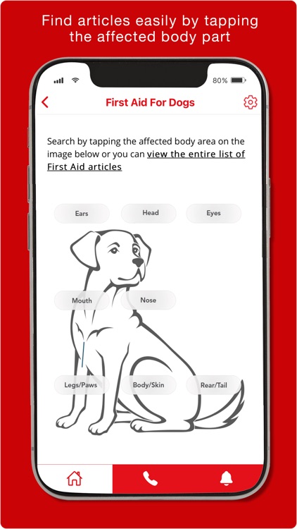 First Aid for Pets screenshot-4