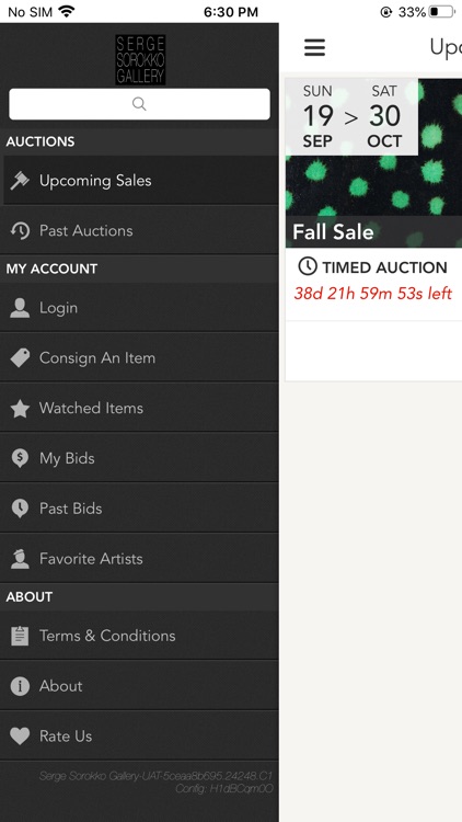 Sorokko Auctions screenshot-3