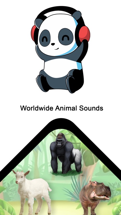 Worldwide Animal Sounds