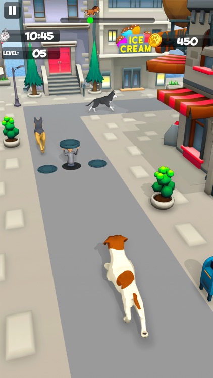 Dog Run Racer - Fun Race 3D
