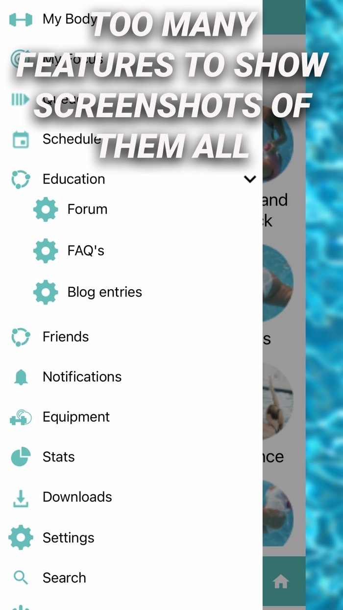 Paradise Ability Fix
