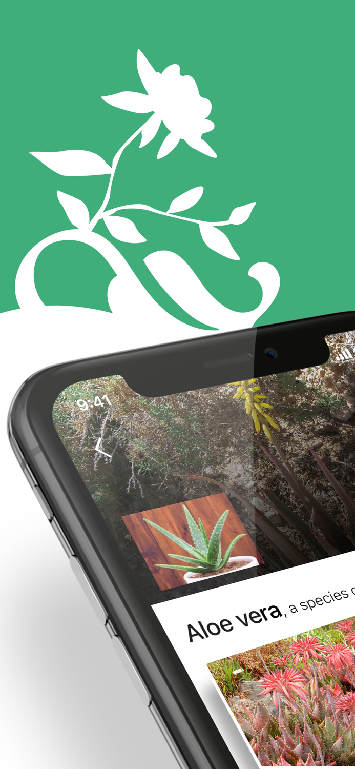 Plant Identifier - WhatPlant