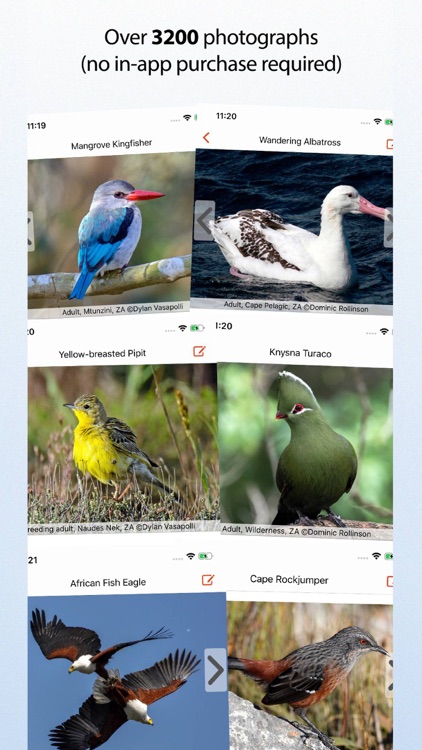 Sasol eBirds Southern Africa screenshot-3