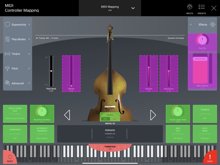SWAM Double Bass