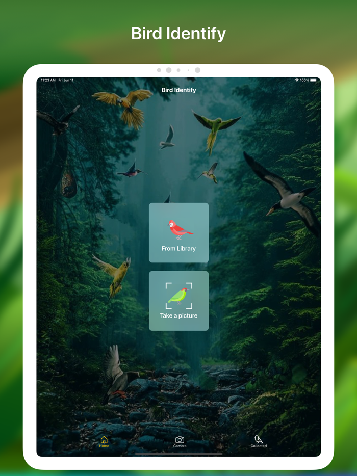 Bird identifier Bird Finder