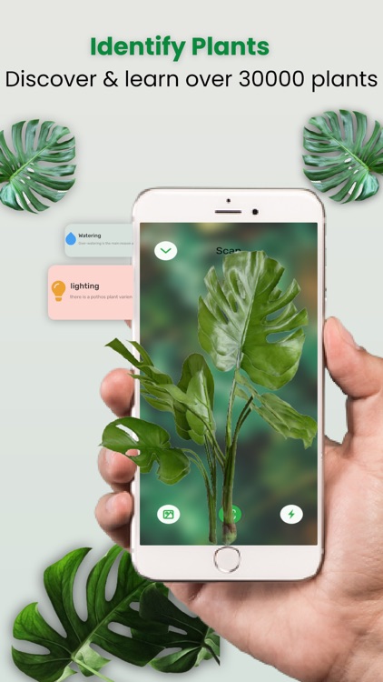 Plantinapp : Plant Identifier