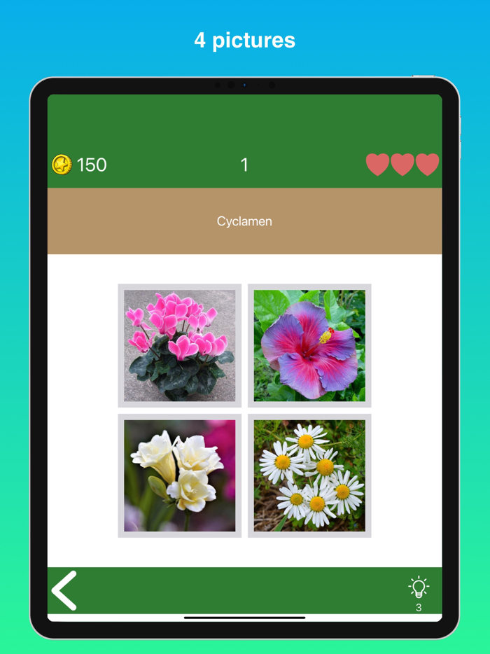 Quiz Flowers guess one answer