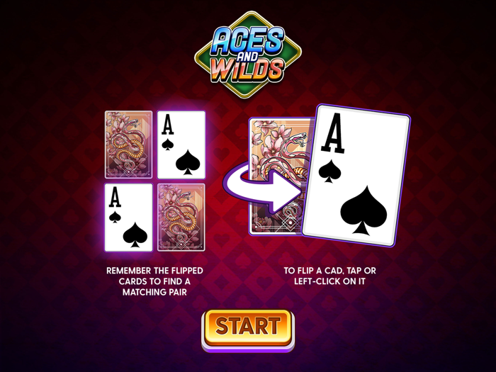 Aces And Wilds