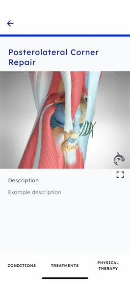 Game screenshot Knee Decide hack