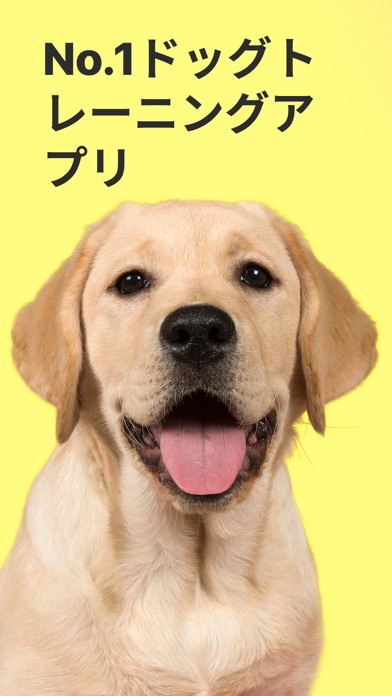 犬育成 そして 犬笛 Everydoggy Iphoneアプリ Applion