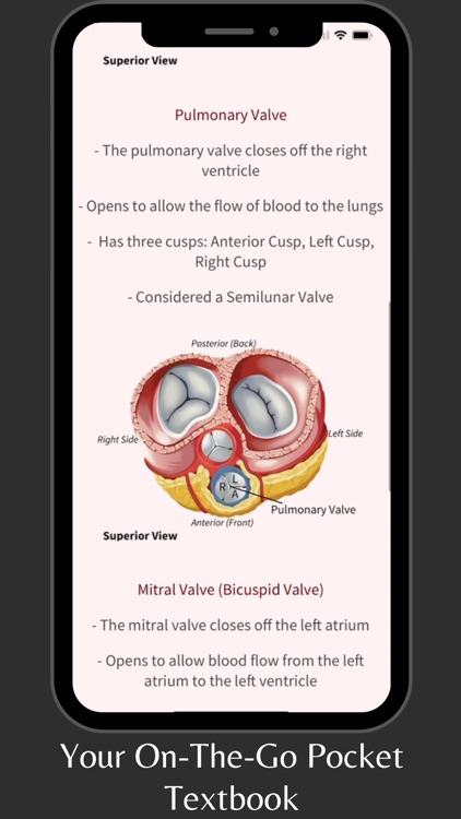 Heart Anatomy and Physiology