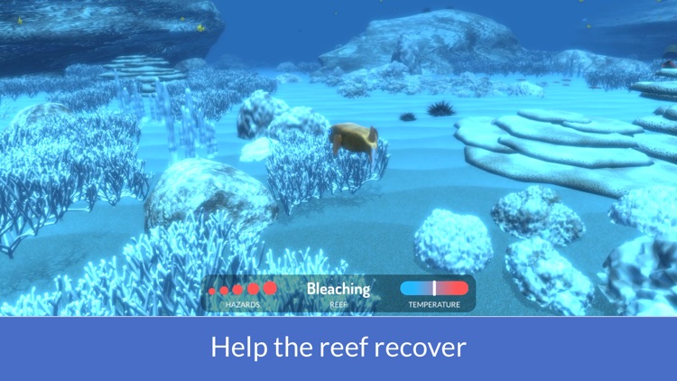 Reef Hero screenshot-5