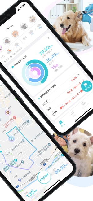 Onedog 愛犬 ペットのお散歩 健康管理アプリ をapp Storeで