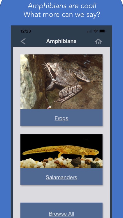 Maine Aquatic Phenomena screenshot-5