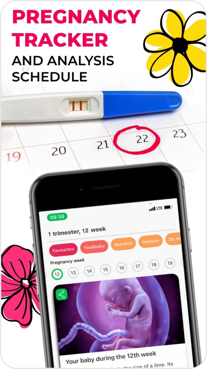 VITA: Pregnancy diet plan