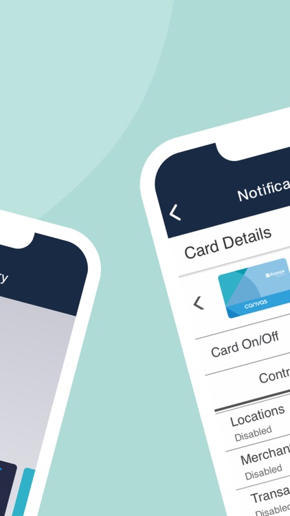 DuPage Card Controls