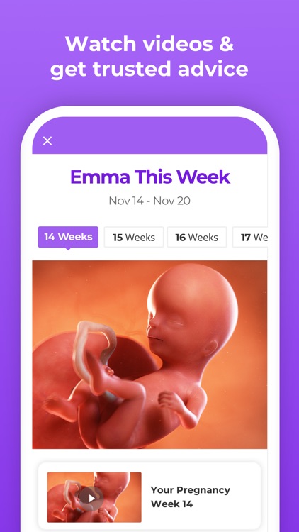 Pregnancy & Baby Tracker WTE screenshot-1