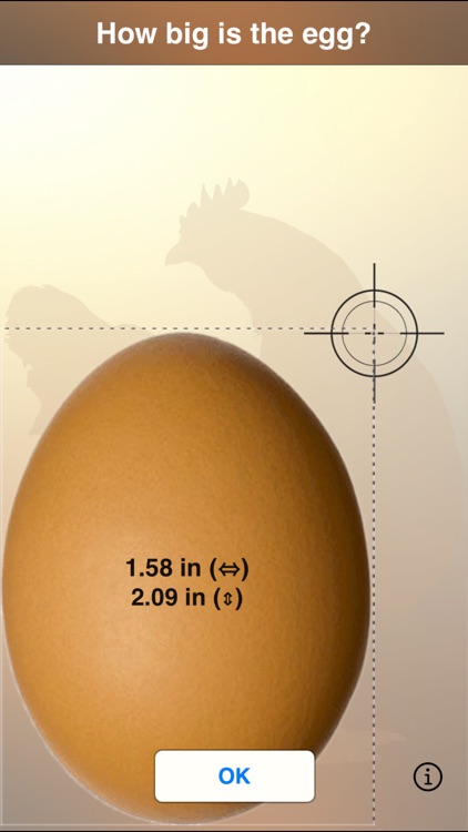 The perfect Egg timer