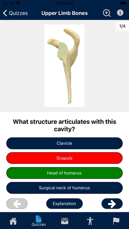 UBC Human Anatomy Teaching App screenshot-3