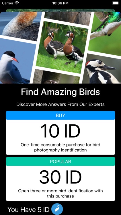 Bird ID - Bird Identification screenshot-5