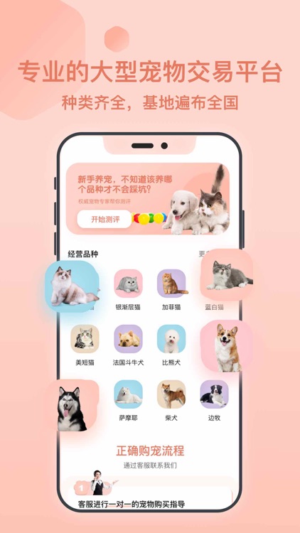 宠物-得宠宠物市场：买猫&宠物交易