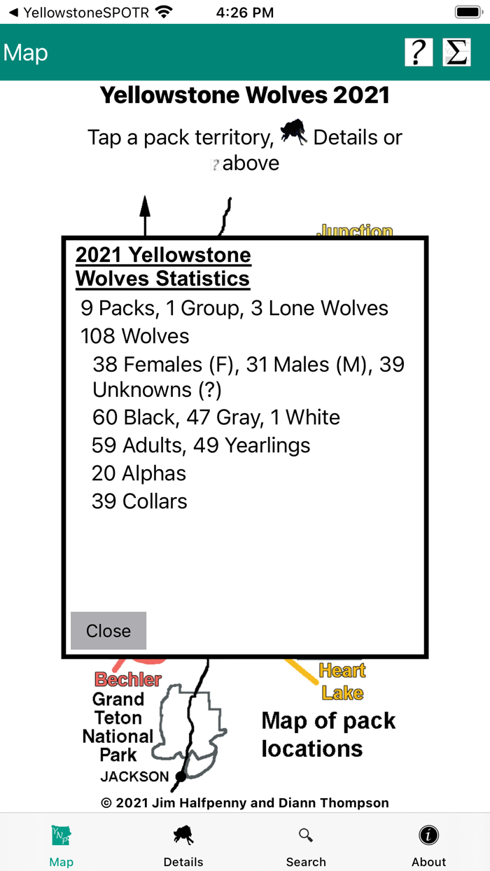 Yellowstone Wolves 2021