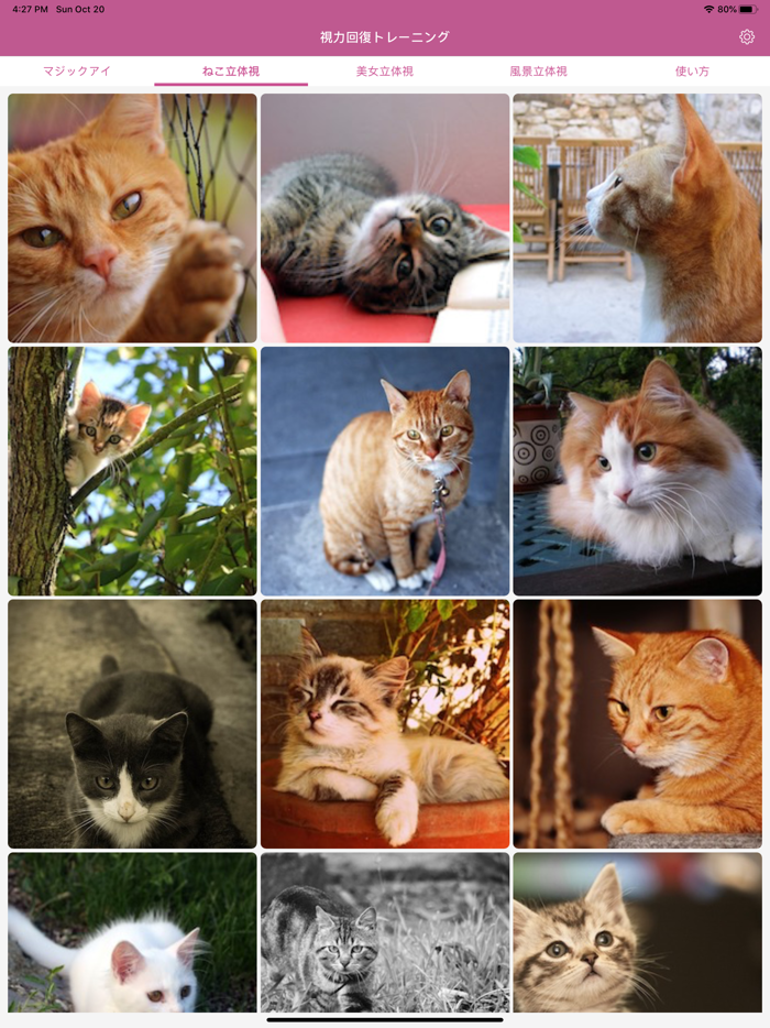 視力回復トレーニング -マジカルアイ・ガボールパッチ・立体視