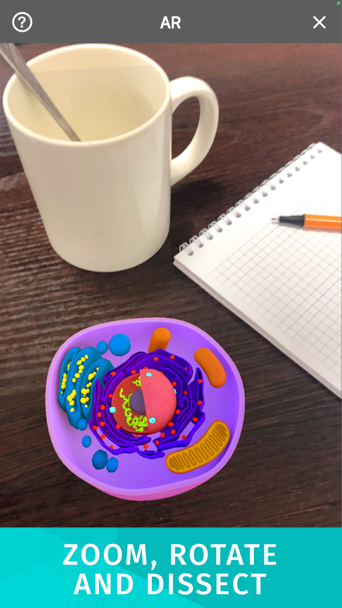 Bacteria AR Zoom Cell Anatomy