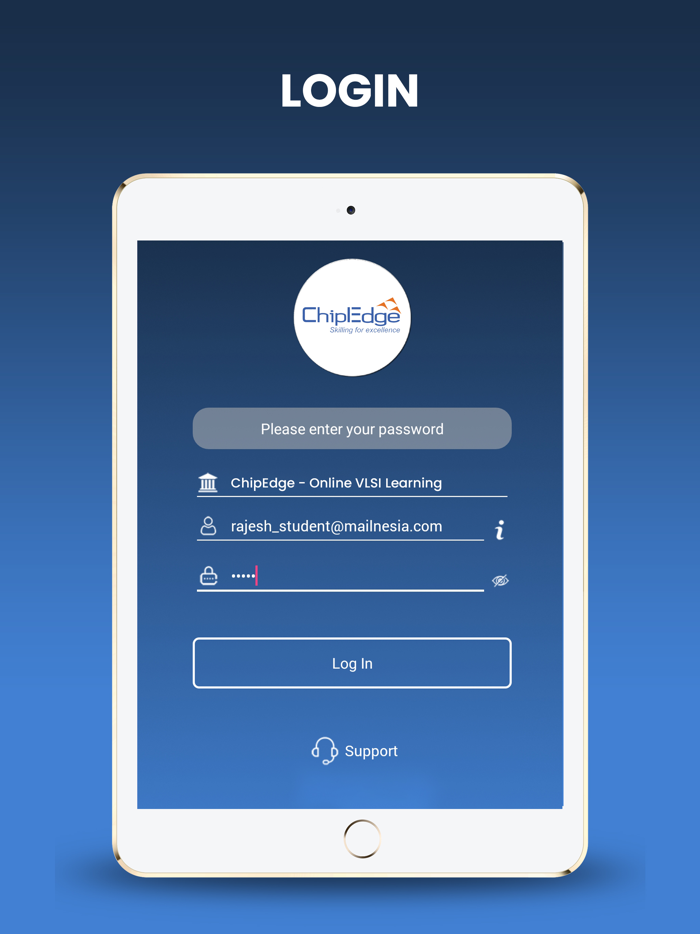 ChipEdge -Online VLSI Learning