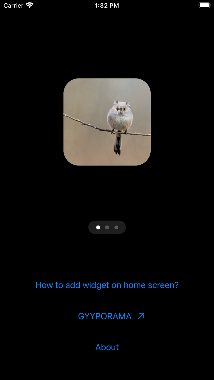 GYYPORAMA HYBRID WIDGET