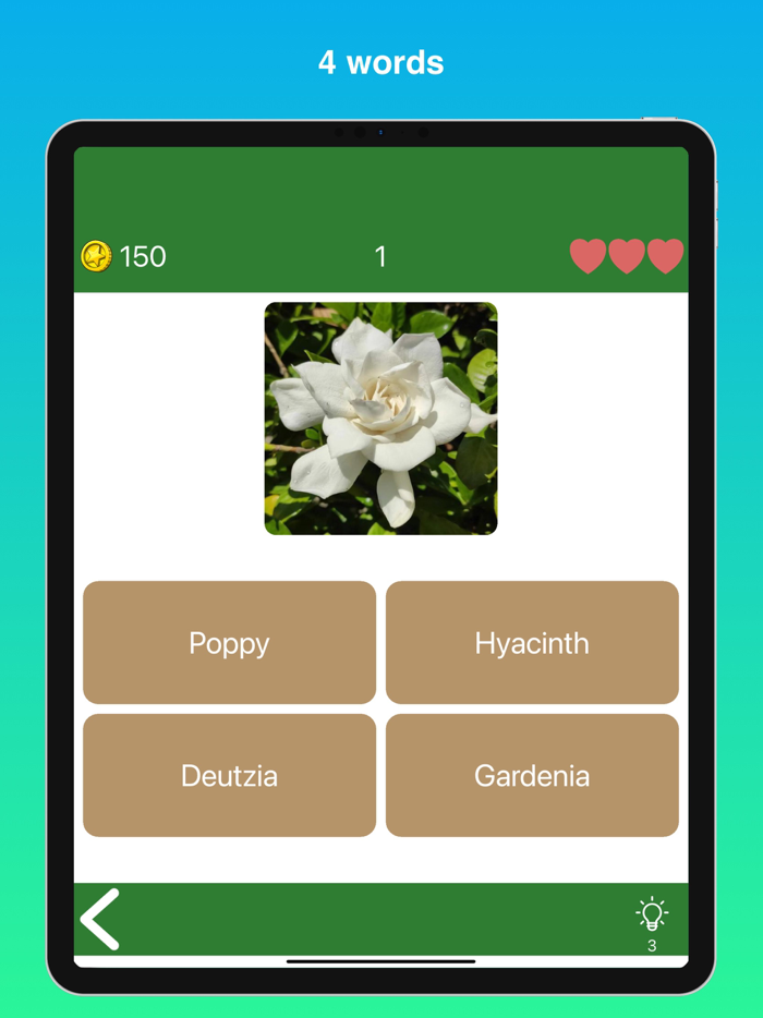 Quiz Flowers guess one answer