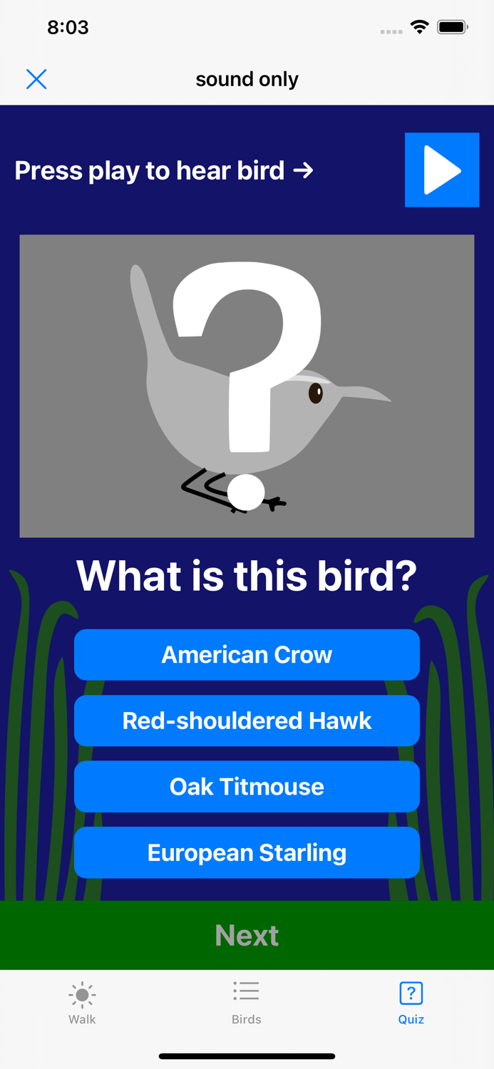 Bay Area Bird Experience