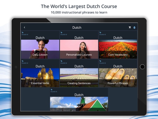 Bluebird: Learn Dutch screenshot 8