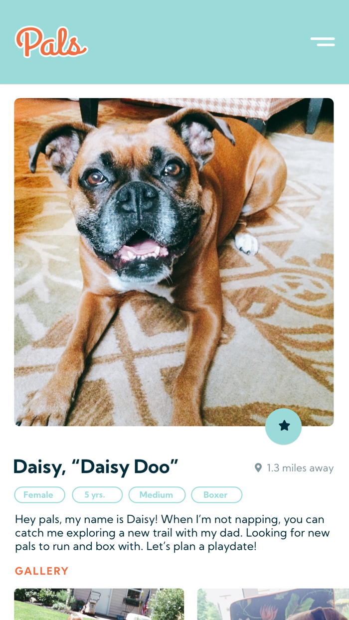 Pals - Sit. Swipe. Play.