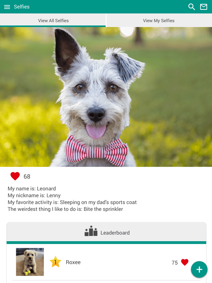 Beechwood Vet Clinic