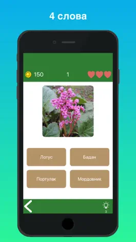 Game screenshot Викторина - угадай цветы, фото hack