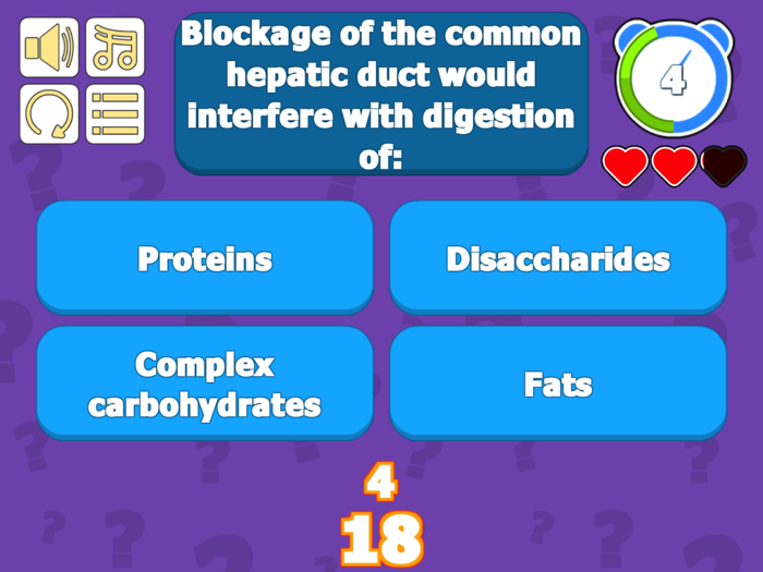 Intestines Digestive System QZ